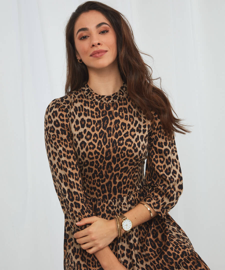 Alluring Animal Print Dress | Dresses | Joe Browns