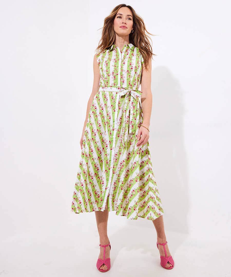 Vintage Rose Stripe Cotton Dress