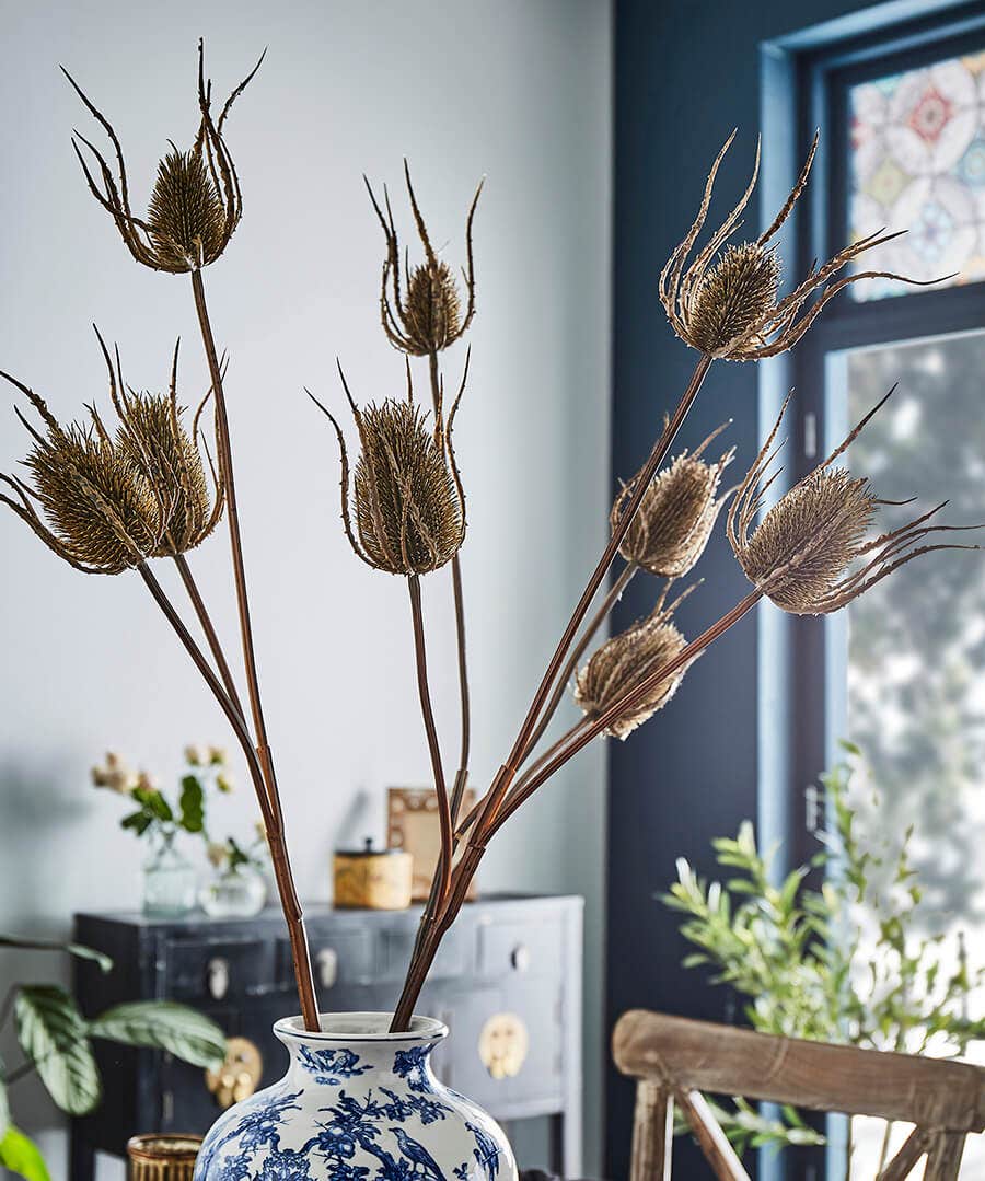 Set of 3 Large Triple Teasle Plant Stems