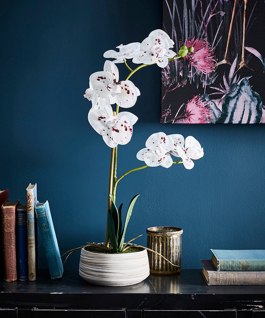 Blooming Marvellous White Speckled Orchid