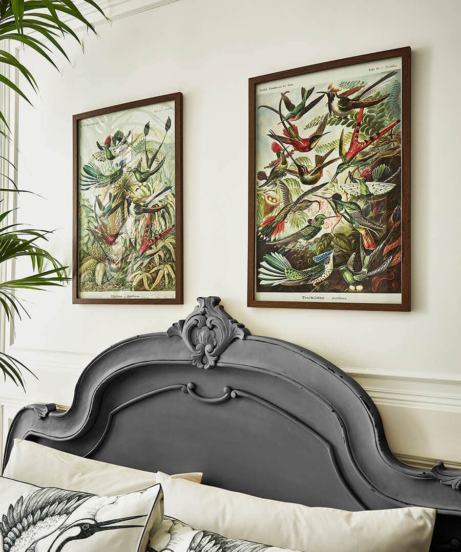 Harmony Of Songbirds Framed Prints