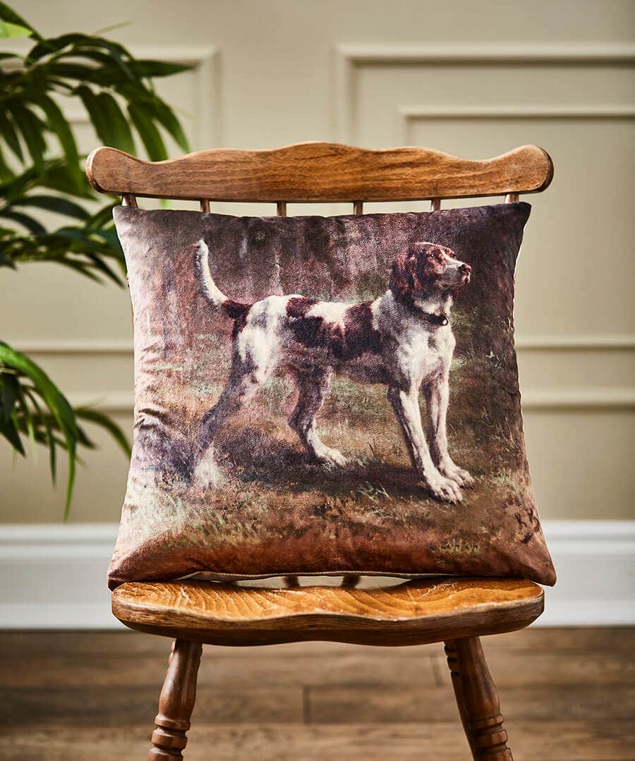 Striking Spaniel Velvet Cushion