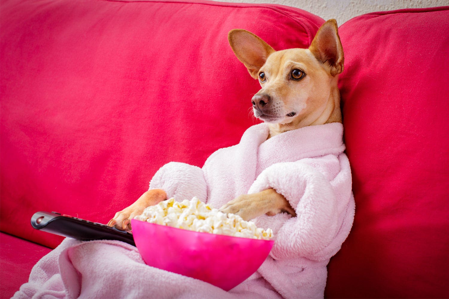 Netflix and binge!