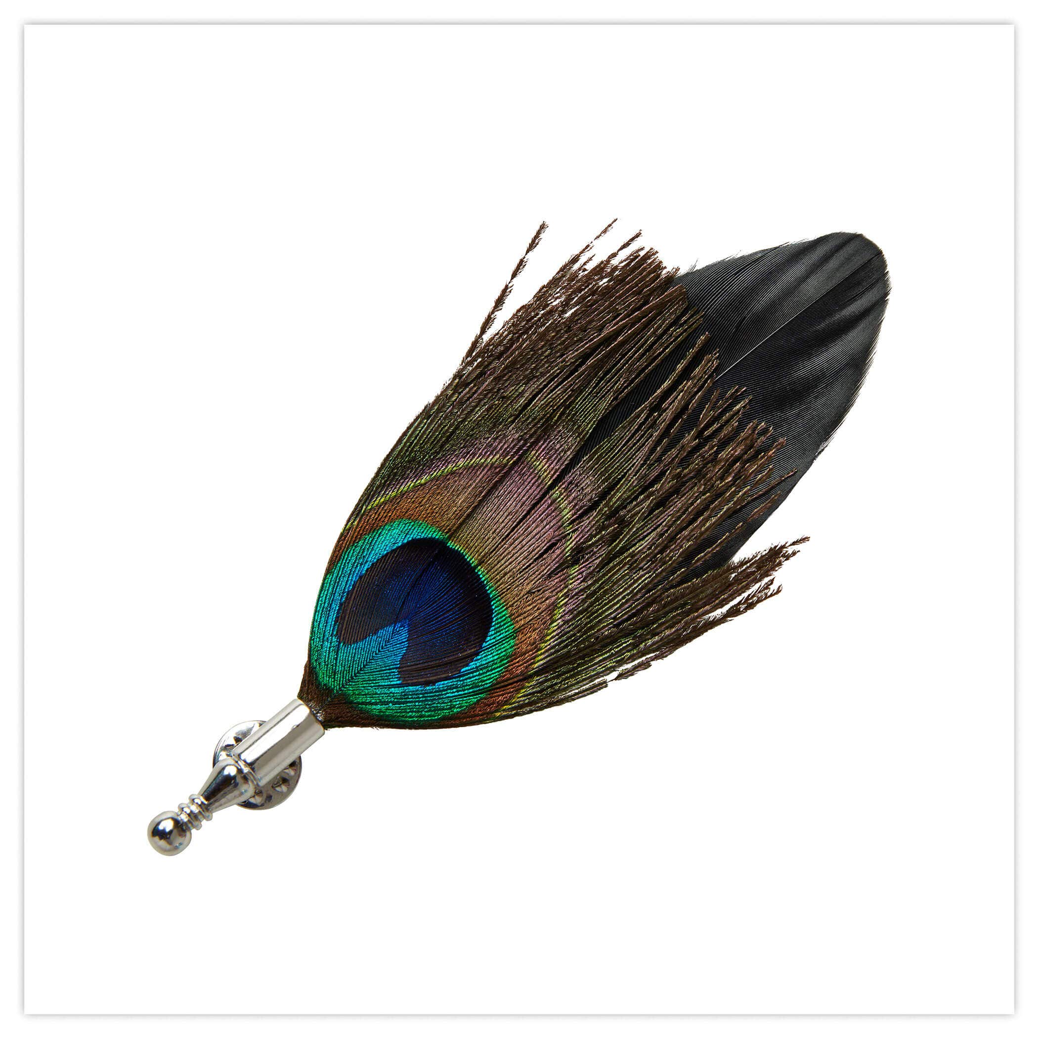 Luxury Peacock Feather Pin