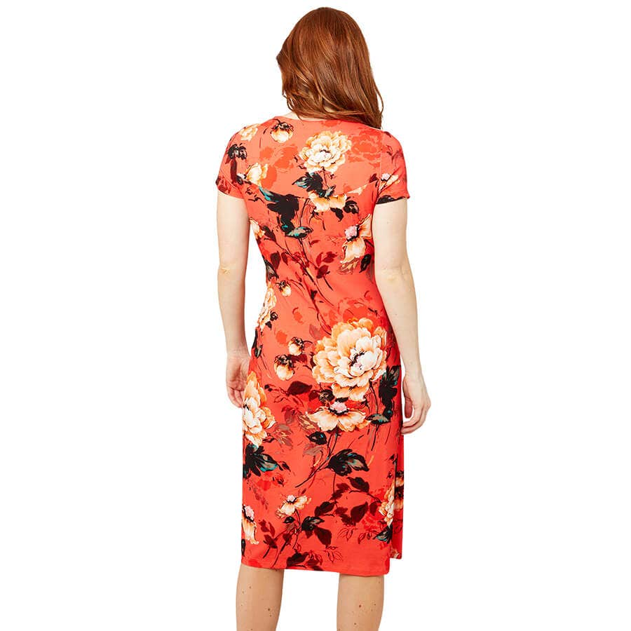 Joe Browns Golden Hour Dress - Back