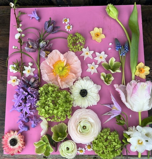 Guest post by Sarah Richardson