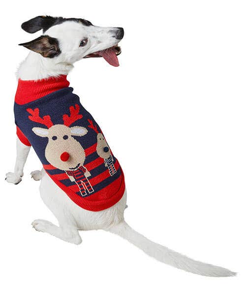 Christmas Pet Jumper