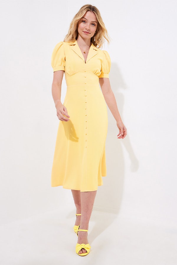 Sophia Vintage Midi Tea Dress