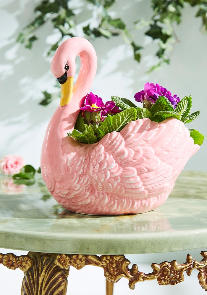 Poised Pink Swa Storage Bowl