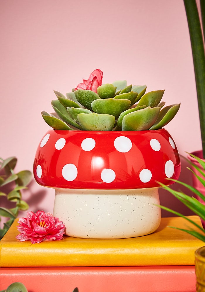 Mighty Mushroom Planter