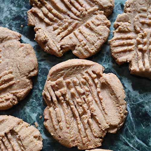 peanut butter cookies