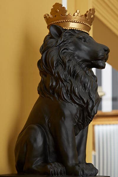 Majestic Black Lion